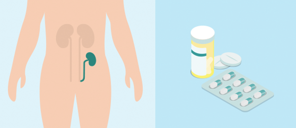 Outras opções de tratamento para a doença renal crónica (DRC)
